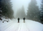 Photo-titre pour cet album:Randonnée raquettes à la Clusaz, le 24/10/2003